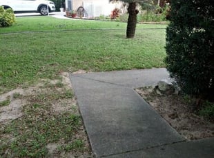 Rebecca J.'s Bush Trimming service result