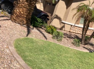 Conrad G.'s Bush Trimming service result