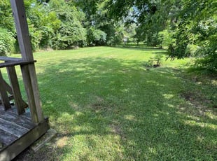 Rachel Y.'s turf care service result