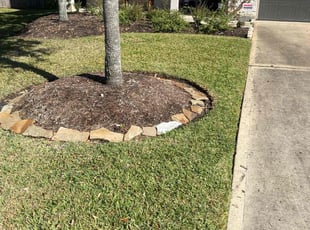 Dan B.'s lawn service service result