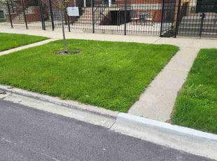 Jay R.'s lawn service service result