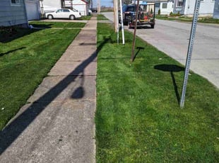 Jen F.'s yard maintenance service result