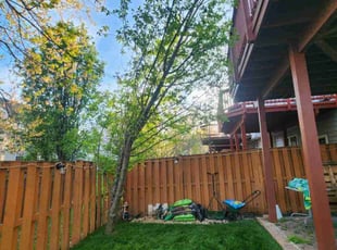 Andrew S.'s turf maintenance service result