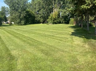 Sophia Y.'s lawn service service result