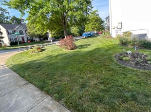 Candace C.'s lawn maintenance service result