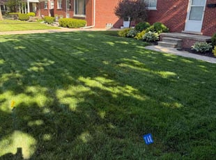 Jack F.'s lawn care services service result