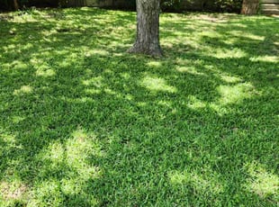 John W.'s lawn service service result