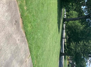 S B.'s lawn service service result