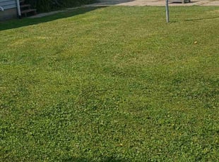 Zau S.'s grass cutting service result