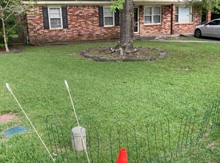 Sam M.'s lawn service service result