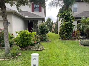 Licia R.'s lawn care service result