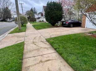 Gail N.'s turf care service result