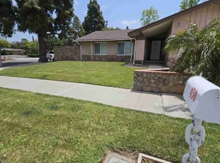 Angelia L.'s grass cutting service result