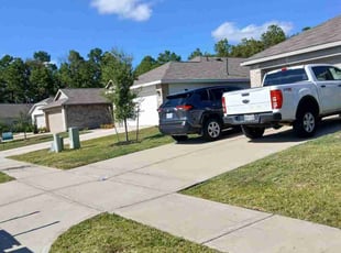 Alexander L.'s turf maintenance service result