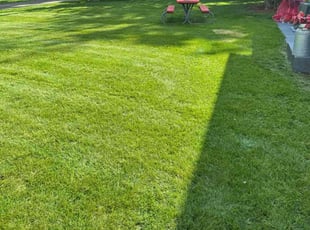Keith C.'s lawn maintenance service result