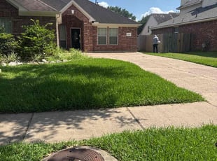 Sue K.'s lawn care service result