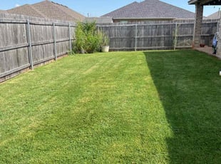 Melissa S.'s grass maintenance service result