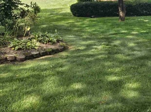Janet F.'s lawn care services service result
