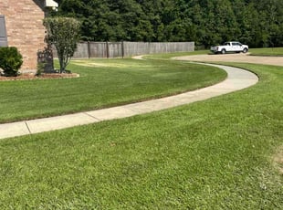 Mugeni L.'s lawn service service result