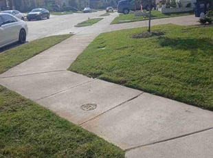 Sarah Z.'s turf care service result