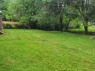 Andre R.'s grass cutting service result