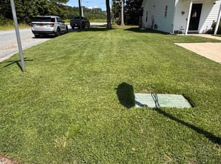 Peter O.'s grass cutting service result