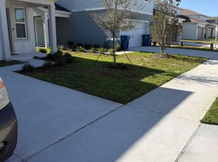 Norelie P.'s grass maintenance service result