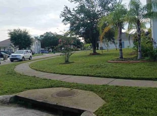 Susan M.'s lawn maintenance service result