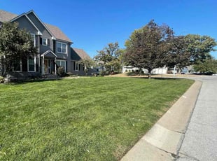 Canary R.'s turf care service result