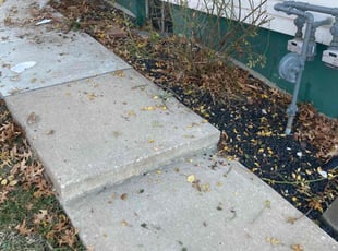 Mike B.'s Bush Trimming service result