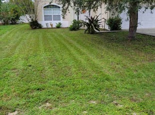Chris K.'s lawn service service result