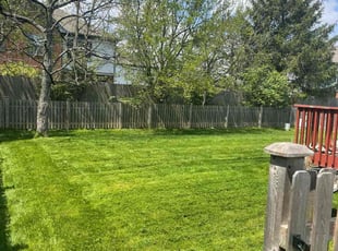 Soraya V.'s turf care service result