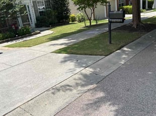 Kristell H.'s lawn care service result