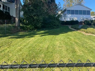 Martin P.'s lawn care service result