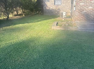 George M.'s grass cutting service result