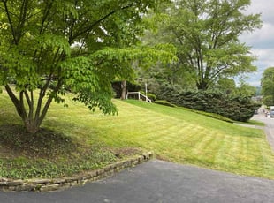 Joshua W.'s grass cutting service result