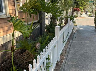 Lashaun J.'s Bush Trimming service result