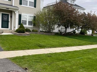 Phuong L.'s grass maintenance service result