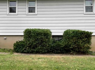 Naomi C.'s Bush Trimming service result