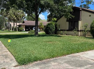 Aileen M.'s lawn care service result