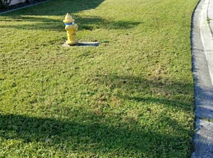 Karen W.'s lawn service service result