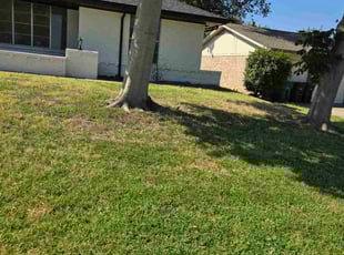 Grace P.'s lawn maintenance service result