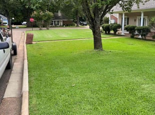 Jenai W.'s lawn service service result