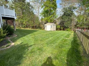 Aracelio N.'s lawn care service result