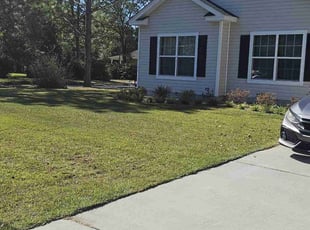 Julianna M.'s yard maintenance service result