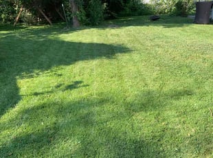 Kyle T.'s grass maintenance service result