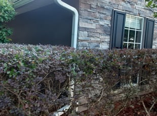 Betty D.'s Bush Trimming service result