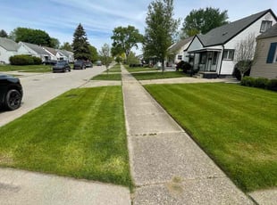 Aurora B.'s turf care service result