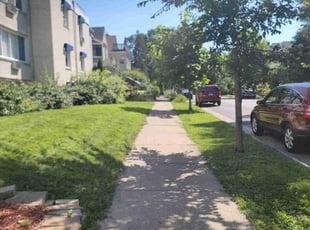 Yassin S.'s grass maintenance service result
