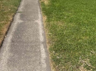 Jessica C.'s turf care service result